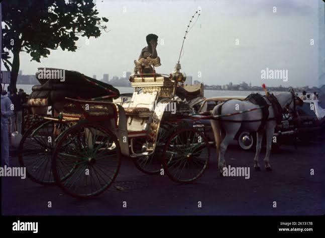 Horse cart mumbai india hi-res stock photography and images - Alamy