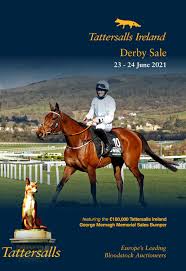 4.5 394 silver starlets rikki. Tattersalls Ireland Derby Sale Catalogue 2021 By Tattersalls Ireland Issuu