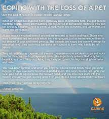 How to deal with the grief of losing a pet. How To Deal With The Death Of Your Dog Caninejournal Com