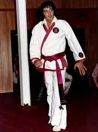 Karate Elvis Elvis Presley Elvis Jumpsuits Elvis Presley Photos