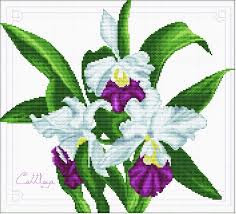 Shop the top 25 most popular 1 at the best prices! No Count Cross Stitch Kit Bouquet Of Orchids 33 X 29cm
