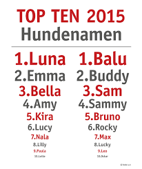 Finde einen passenden namen für deinen hund egal ob männchen oder weibchen. Hundenamen Was Luna Balu Gemeinsam Haben Und Warum Sie Ihren Hund Nicht Fritz Nennen Sollten Tierischer Urlaub Com