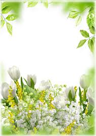 Offriamo cornici a buon mercato nei formati 13x18, 21x30, 30x40, 50x50, 50x70, 61x91, 61x91,5 e 70x100 cm. Sornici Per Foto Gratis Loonapix Cornici Online