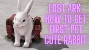 Lost Ark How to get First Pet ~Cute White Bunny~ - YouTube