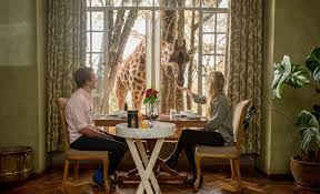 Children's rocking chair by garden treasures in black. Guest Book Sikeleli Travel Expeditions