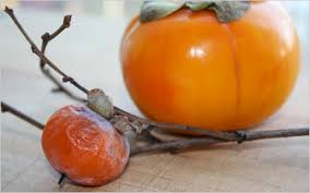 However, fuyu persimmon tastes sweet like honey. Urban Forager Tomato Pumpkin Mash Up On A Tree The New York Times
