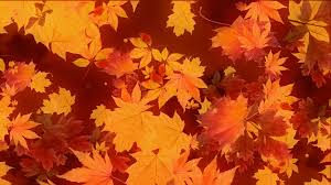 Maybe you would like to learn more about one of these? Loop 324 Autumn Leaves Free Video Loops Movietools Info