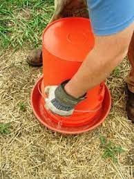 Homemade Chicken Waterer I Want To Try One Right Side Up So That I Can Refill From The Top Holes Sho Homemade Chicken Waterer Chicken Waterer Chicken Diy