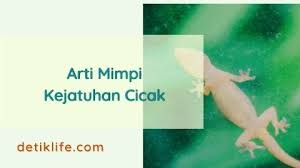 Ada tafsiran daripada ibnu sirin mengatakan bahawa : Arti Mimpi Kejatuhan Cicak Dan Penafsirannya Lengkap Detiklife
