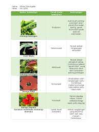 Organ gerak ikan dan fungsinya. Nama Tumbuhan