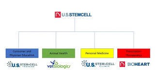 Usrm Stock U S Stem Cell Inc Sec Filings