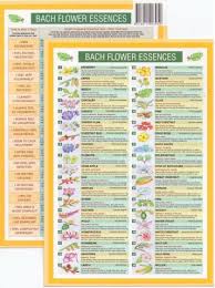 Bach Flower Remedies Mini Chart Essences Bach Flowers