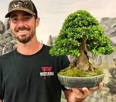 Image result for Premna