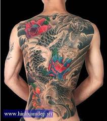 Dưới đây là 50 hình xăm cá chép đẹp được xăm ở các vị trí trên cơ thể như ở tay, lưng, chân, ngực. Hinh Xam Ca Chep Hoa Rong O Lung Hinh XÄƒm XÄƒm Hinh XÄƒm SÆ° Tá»­