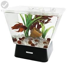 Tetra 29050 Led Betta Tank 1 Gallon Fun Stuff And Gift Ideas Amazon Partner Link Betta Tank Betta Fish Tank Cool Fish Tanks
