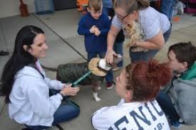 Tink defies going to the dogs