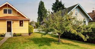 Maybe you would like to learn more about one of these? 5 Tips For Fertilizing Fruit Trees My Garden Life