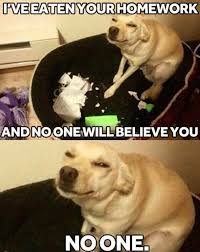 My Biggest Fear As A Kid Funny Animal Jokes Funny Dog Memes Funny Animal Quotes