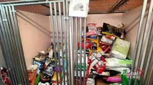 Pay only $1 for kellogg's special k vanilla almond cereal 355 g. Covid 19 Greater Moncton Spca Delivers Pet Food To Owners In Isolation New Brunswick Globalnews Ca