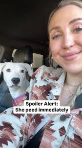 My Logan❤️ Lots of new friends here lately! Logan's backstory is an  important one, so here is a little reintro: Logan was picked up as a stray  in TX with a pregnant