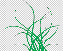 Green Algae Seaweed Red Algae Fundo Do Mar Miscellaneous Leaf Grass Png Klipartz Are you searching for red seaweed png images or vector? green algae seaweed red algae fundo do