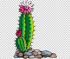These states have deserts and national parks where many cactus plants grow. Southwestern United States Free Content Blooming Cactus On Green Stones Presentation Cactaceae Plant Stem Png Klipartz