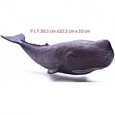 Paus sperma adalah paus bergigi terbesar dan bisa tumbuh sepanjang 67 kaki (20 meter). Promo Mainan Miniatur Hewan Recur Physeter Macrocephalus Ikan Paus Sperma Berkualitas Shopee Indonesia