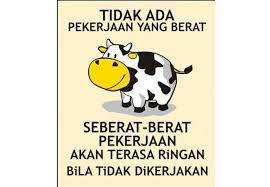 Fantastis 30 Gambar Kartun Lucu Untuk Dp Wa Gambar Dp Bbm Lucu Bergerak Terkocak 2020 Koleksikan Berbagai Gambar2 Lucu Animasi Berger Kartun Lucu Lucu Kartun