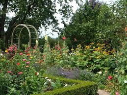 And, while it may come as a surprise, there is far more to cottage flowers than. Hollyhock Mygarden Com
