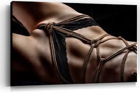 Marlies dekkers lingerie biedt een tijdloze combinatie van luxe en comfort. Crotch Rope Lingerie Wandbild Leinwand 60x40cm Rod Meier Media