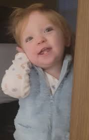 Ideas for feeding a 1-year-old who doesn't like meat