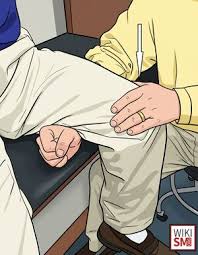 Image result for Fulcrum Test