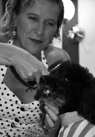 Brains & Games, pro dog training