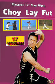 Choy Lay Fut 16