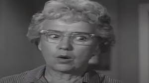 Dennis the Menace cast and character guide: Who plays whom in the CBS sitcom