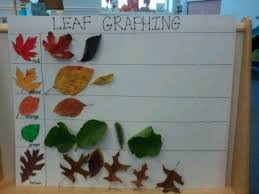 Every year i long for the colored leaves lasted longer before they gracefully fall to the ground. Fall Into Fun With Leaf Activities Fall Math Activities Fall Preschool Activities Fall Kindergarten