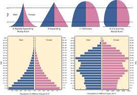 Three basic types of population pyramids show how different trends are displayed. Population Pyramids Types Stage 2 Ldc Angola And Stage 4 Advanced Post Industrial Econ Ap Environmental Science Teaching Geography Ap Human Geography
