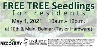 Tree service · 2 on yelp. Celebrating Arbor Day Tree Giveaway For Belmar Residents This Saturday Tapinto