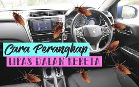 Korang just cuba guna tips ni je: Cara Perangkap Lipas Dalam Kereta Nikkhazami Com