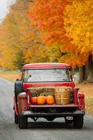 Log In Tumblr Vermont Foliage Autumn Day Seasons