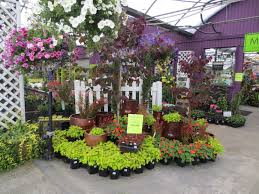 Pin By Nadine Mcgregor On Vivero Garden Center Displays Garden Nursery Garden Center