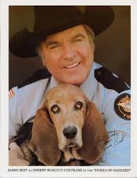 Flash Dukes Of Hazzard Tv Series Movie History Famous Dog Ark Animal Centre James Best Famous Dogs The Dukes Of Hazzard