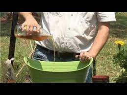 Spring cleaning isn't reserved for just the indoors. Container Gardening How Do I Clean Flower Plant Pots Youtube