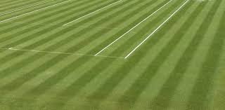 Acht millimeter, ein vogel immer auf der jagd nach tauben, die auf dem heiligen rasen ihr picknick machen. Wimbledon 2019 Weiterhin Nur Im Pay Tv