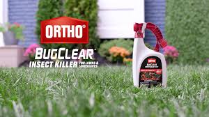 Most lawns will tolerate a certain level of insect damage. How To Use Ortho Bugclear Insect Killer For Lawns Landscapes Ready To Spray Youtube
