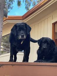 I love my job and I...