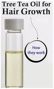 Tea Tree Oil For Hair Growth Diy Hair Treatment Hair Growth Oil Hair Treatment