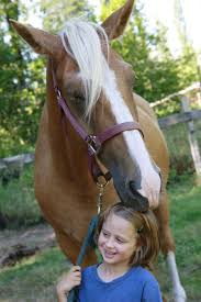 2021 summer horse camp near clayton is here! Finding A Great Horse Camp 8 Tips And 14 Horse Camps In Greater Seattle Parentmap