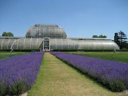 London Travelingpalette City Discover Learn Coloranalysis Unveil Colors Fashion Homedecor Coloranalysi Kew Gardens Vacation Trips Travel Photography