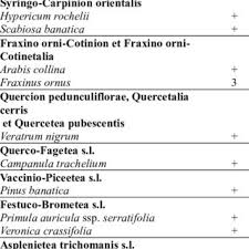 Pdf Achnatherum Calamagrostis L P Beauv In The Romanian Carpathians Critical Overview Phytocoenotic Context And Conservation Status